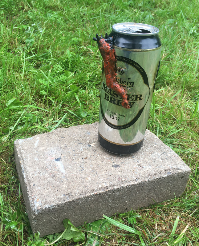 Slug crawling on a beer can